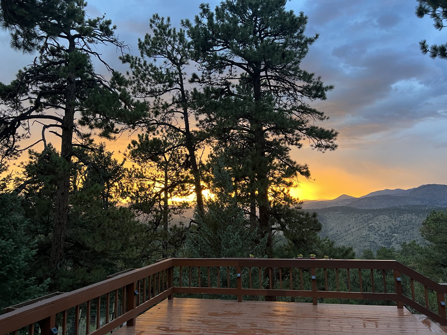 The open deck at sunset framed by tall pines