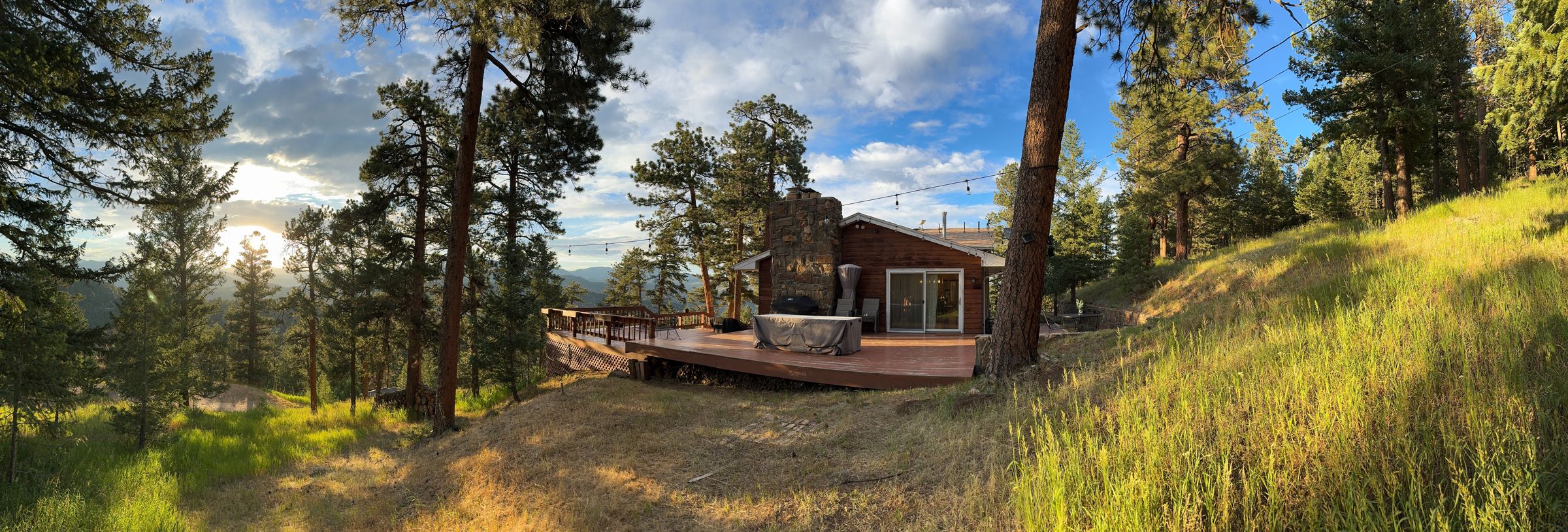 The house, deck, and surrounding ponderosa forest on a summer evening
